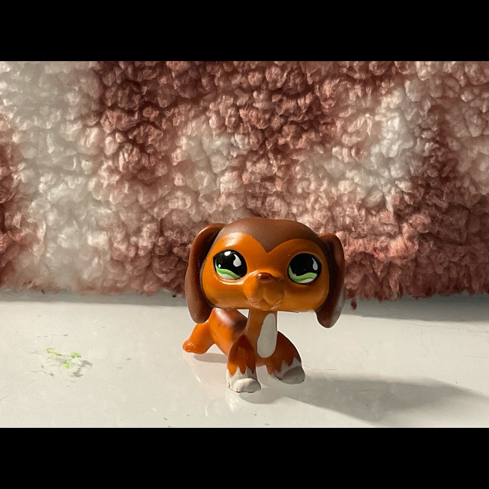 Littlest pet shop dachshund #675